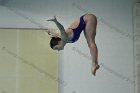 Women's Diving  Wheaton College Women’s Diving vs Mount Holyoke College. - Photo by Keith Nordstrom : Wheaton, Swimming & Diving